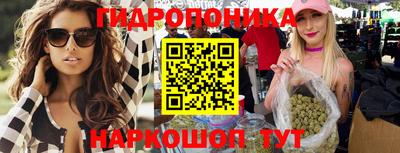 альфа пвп Новокубанск