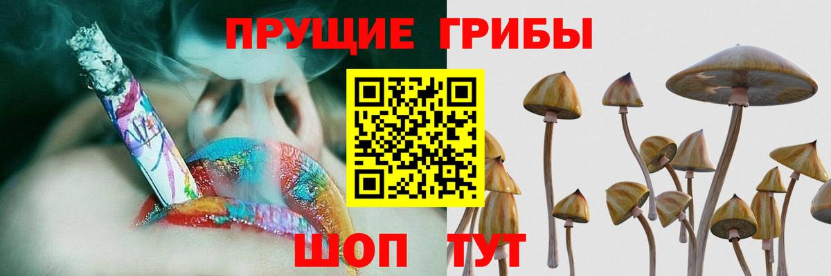 Псилоцибиновые грибы Cubensis Фрязино